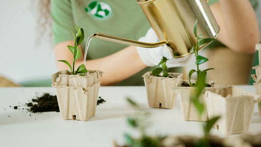 Sustratos Grow Ecológicos: Cultivando de Forma Sostenible y Responsable