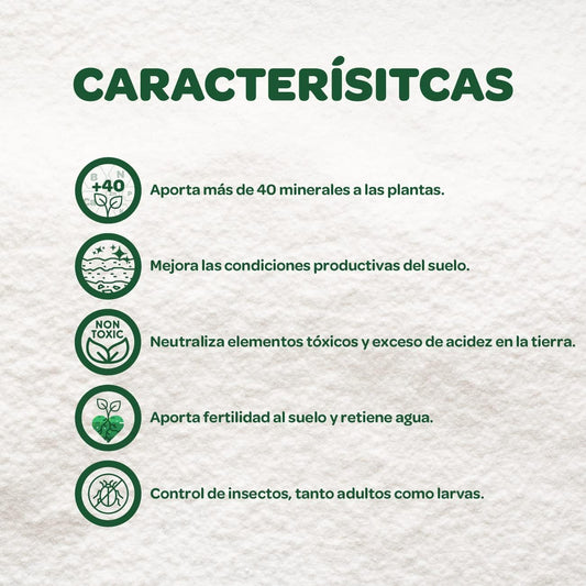 TIERRA DE DIATOMEAS MOLIDA 25 KG - FLONATUR