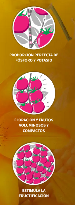 PK 13-14 ATAMI ATA 1L- FERTILIZANTE FLORACION