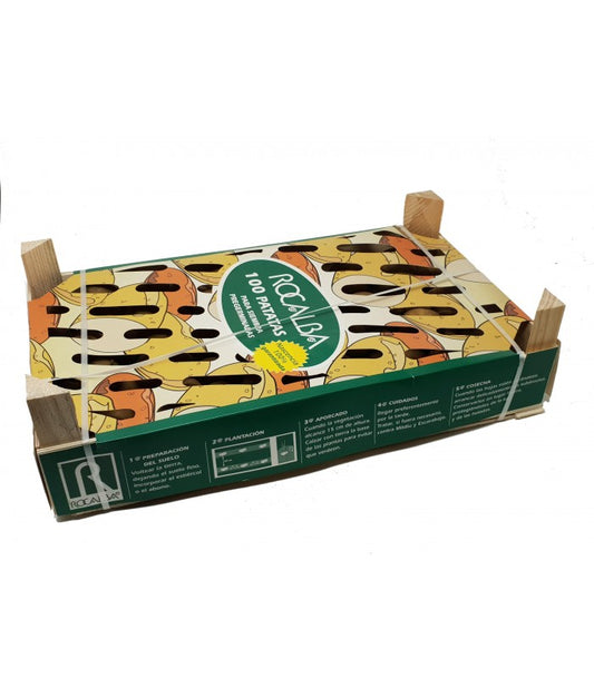 PATATAS DE SIEMBRA DESIREE -BAND. 100 UD - PATATA PIEL ROJA