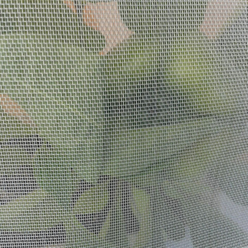 MALLA ANTI PLAGAS 3 METROS DE ANCHO