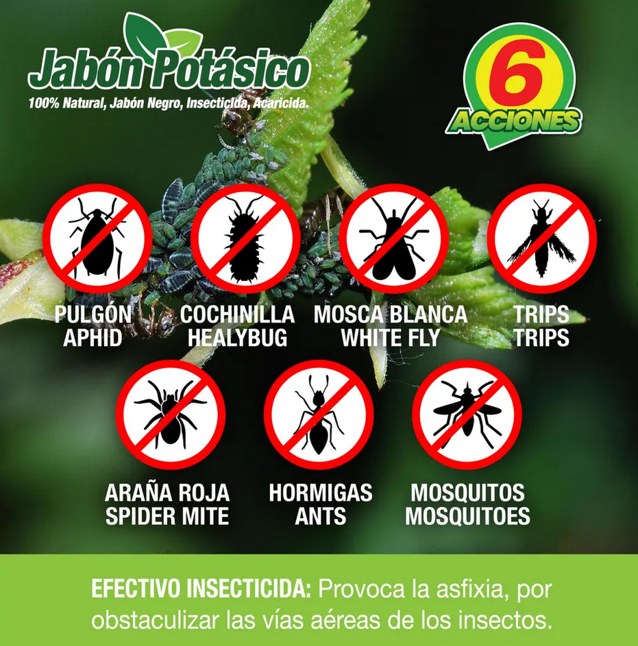 JABON POTASICO 1L - ECOLOGICO