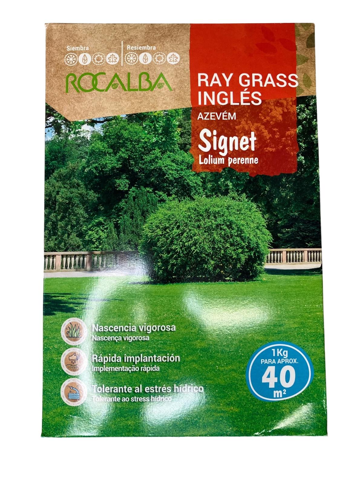 CESPED RAY GRASS INGLES SIGNET 1KG-40 m²