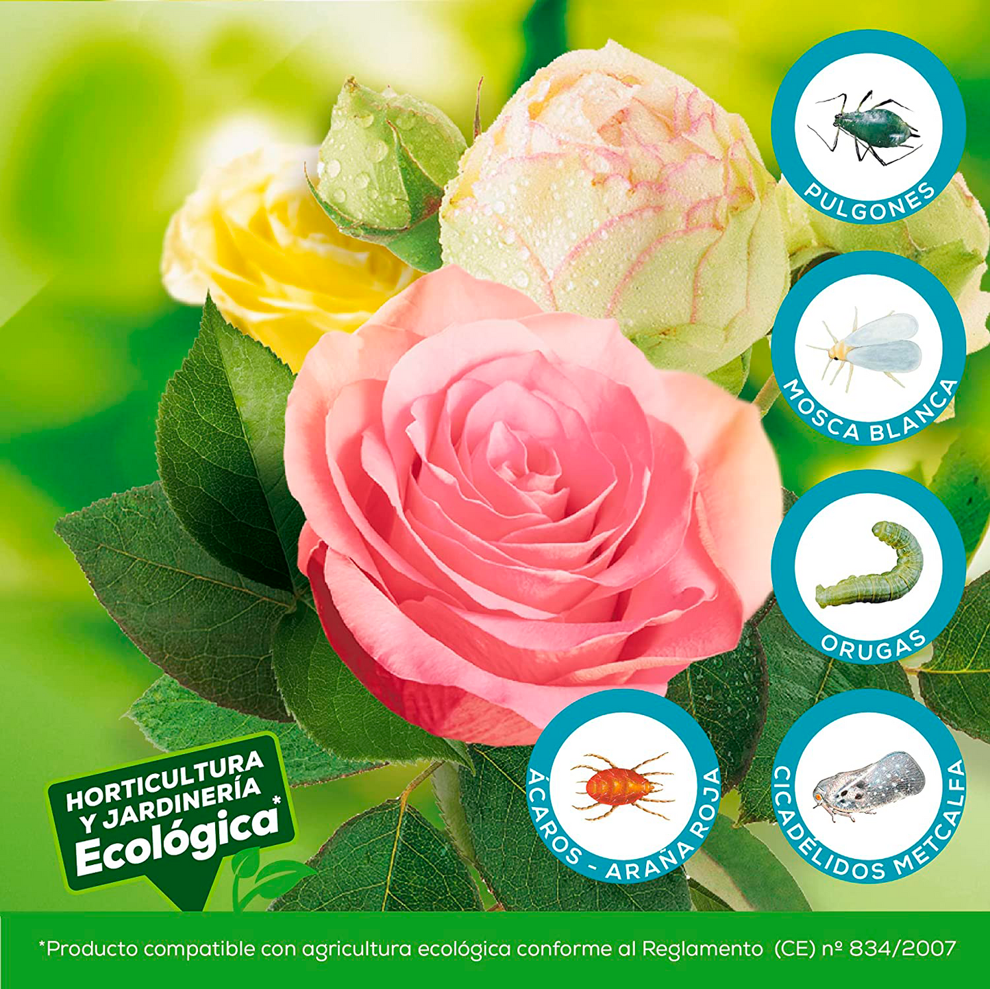 🌿 Solabiol Insecticida Acaricida Natural Ecológico 250 ml