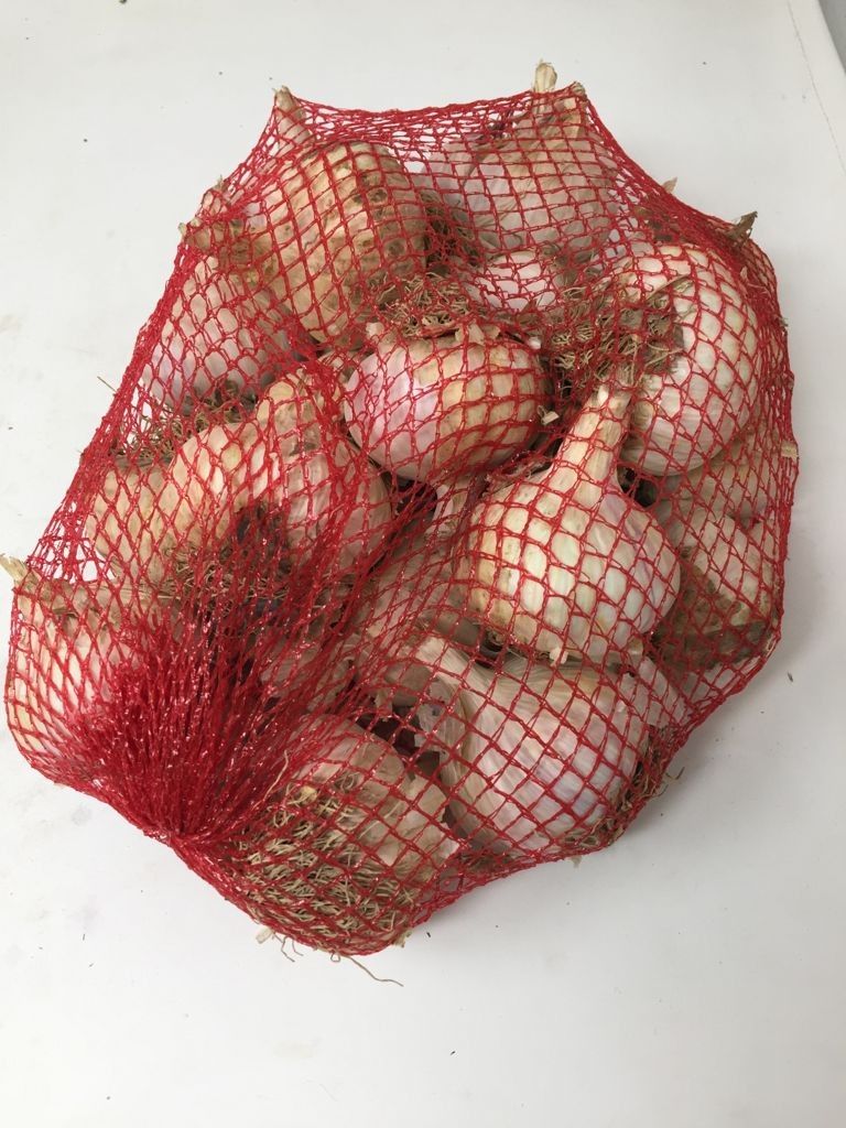 AJO DE SIEMBRA MORADO DE ESPAÑA 1 KG - CONVENCIONAL