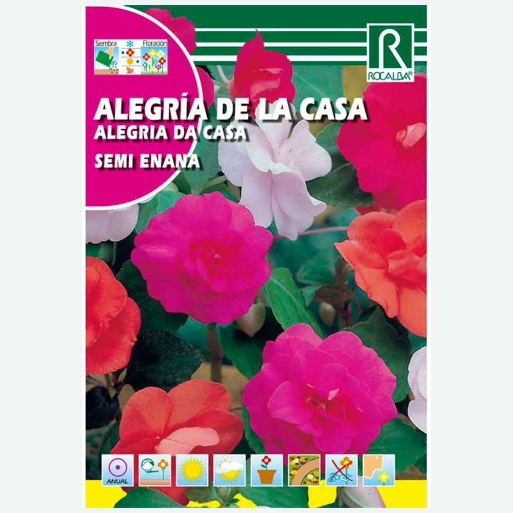 ALEGRIA DE LA CASA SEMI ENANA VARIADA - SOBRE DE SEMILLAS 0,2G