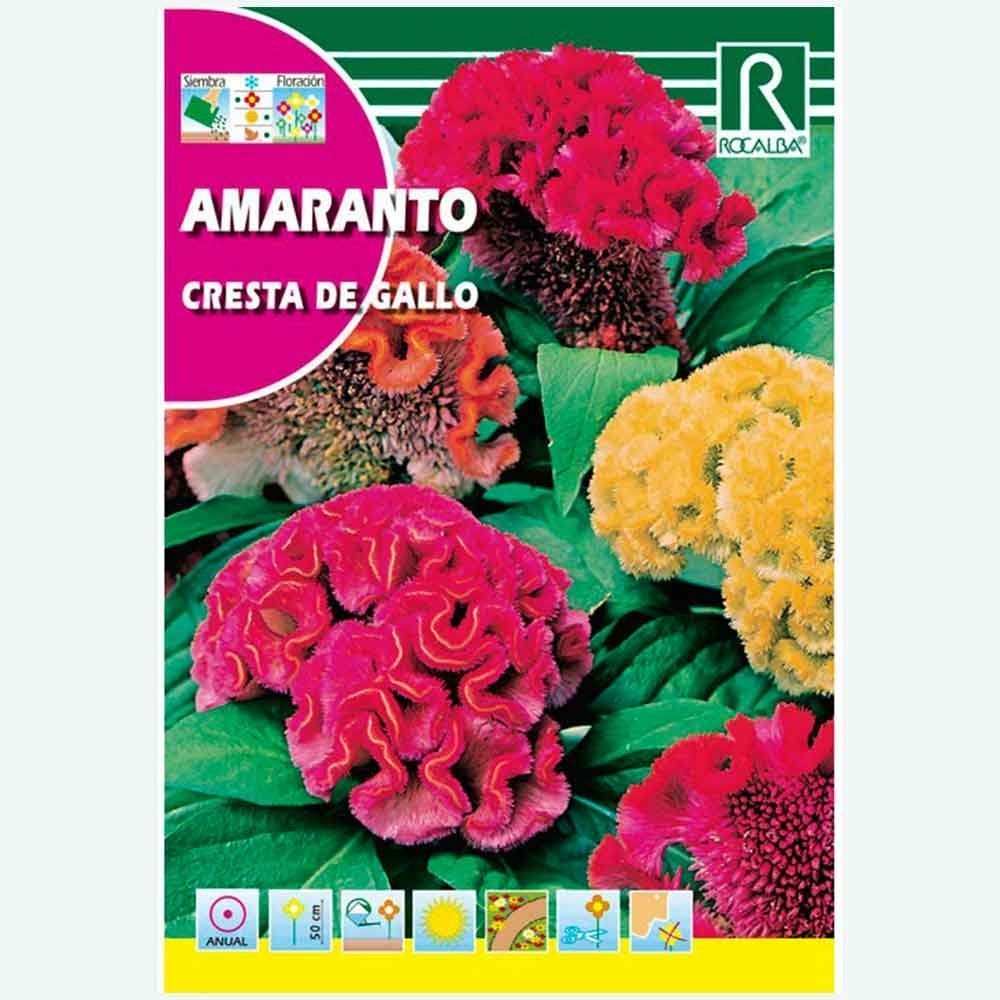 AMARANTO CRISTA DE GALO VARIADO - ENVELOPE SEMENTES 2G