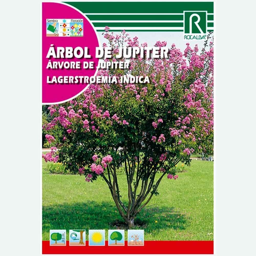 ARBOL DE JUPITER - SOBRE DE SEMILLAS 0.5 GR.