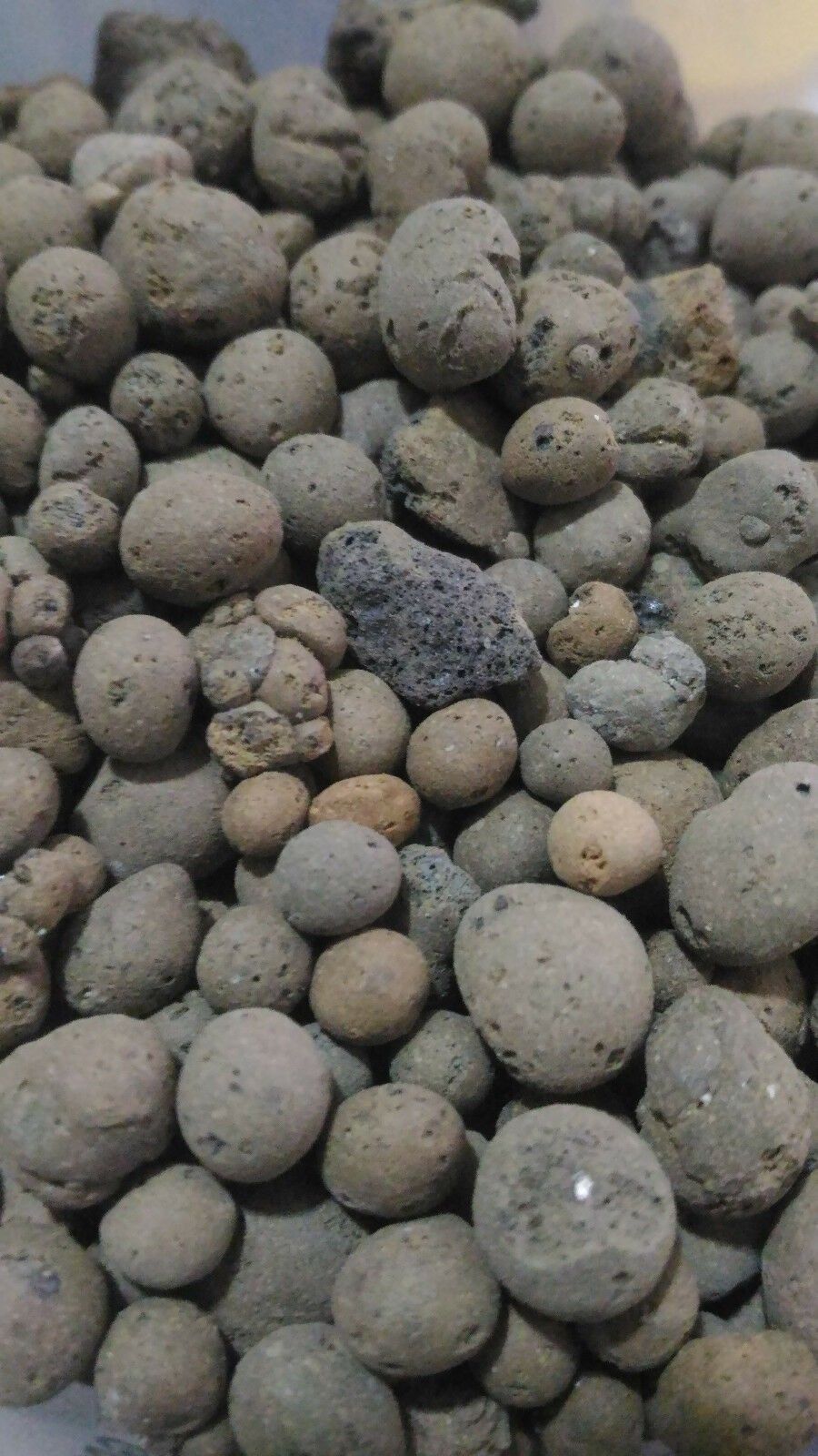 ARLITA 8/16 MM 20 L.