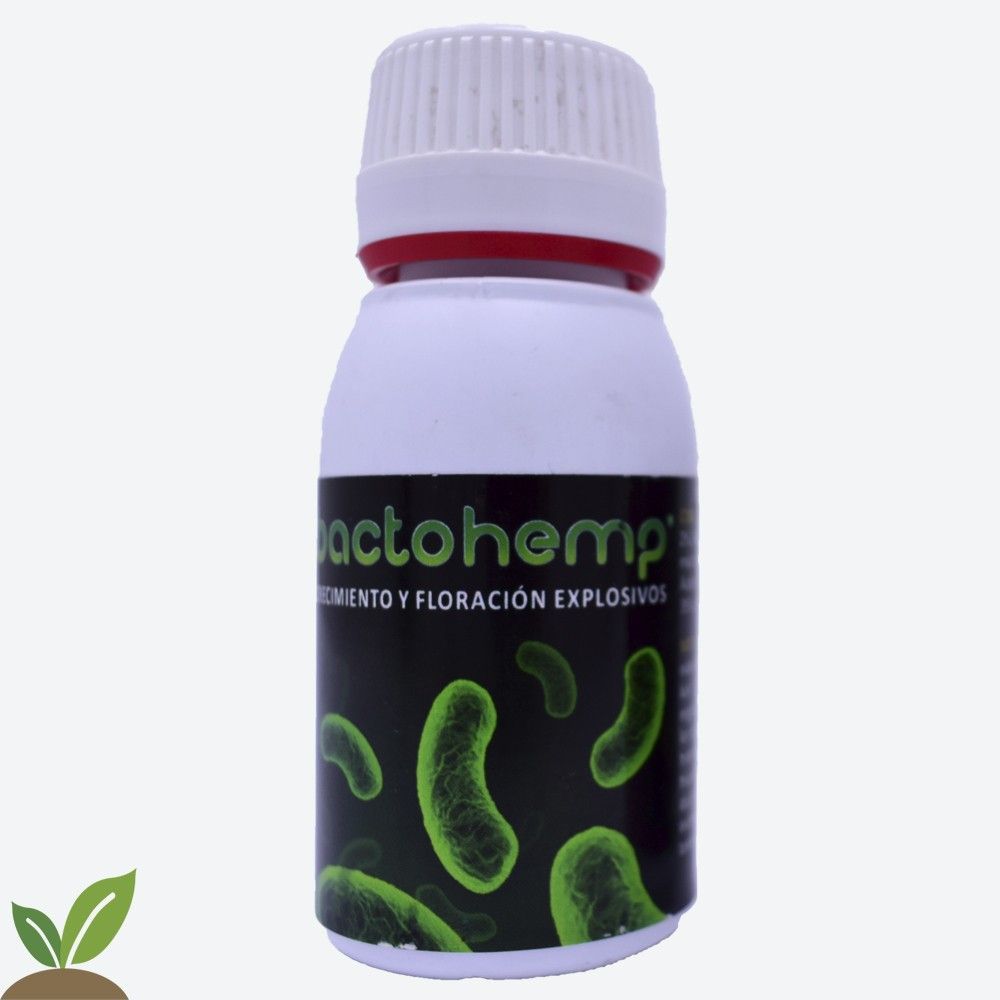 BACTOHEMP AGROBACTERIAS 50 GR. Bacillus + Bacterias + Extracto de algas
