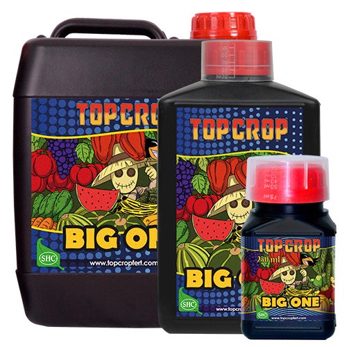 BIG ONE 250ML - ESTIMULADOR DE FLORACIÓN ECOLOGICO TOP CROP