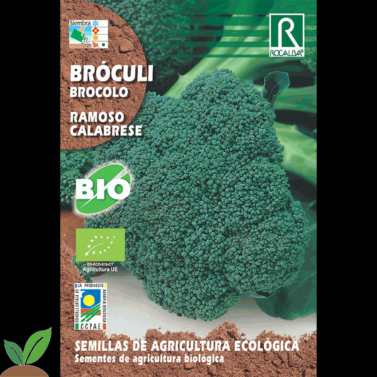 BROCOLI RAMOSO CALABRESE ECO - SEMILLAS ROCALBA