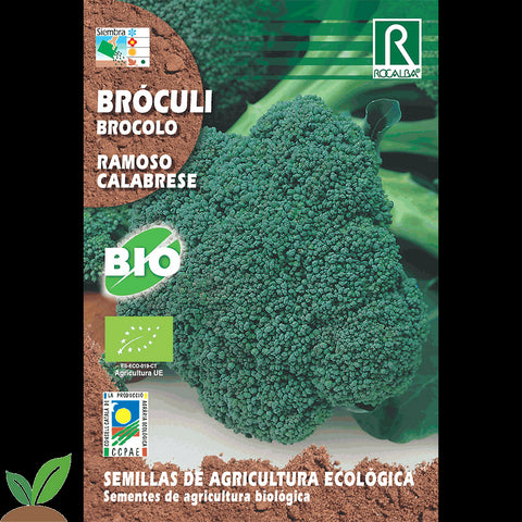 BROCOLI RAMOSO CALABRESE ECO - SEMILLAS ROCALBA