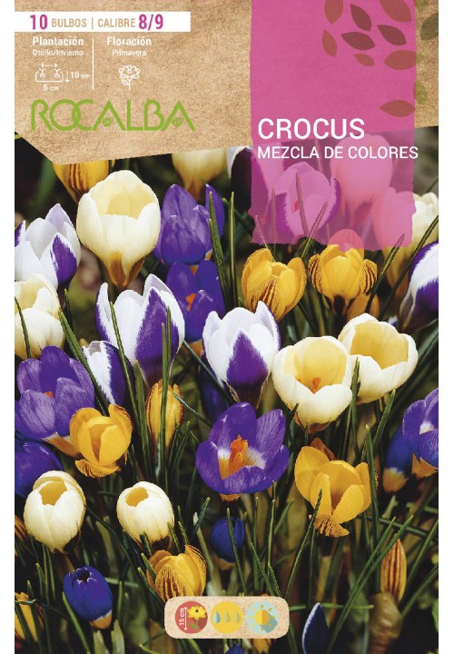 BULBO CROCUS MEZCLA DE COLORES - 10 UD.