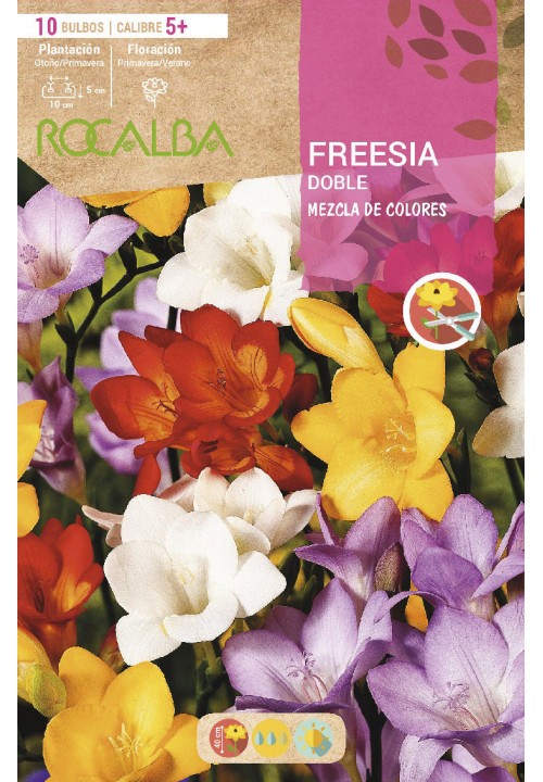 BULBO FREESIA DOBLE MEZCLA DE COLORES- 10 UD