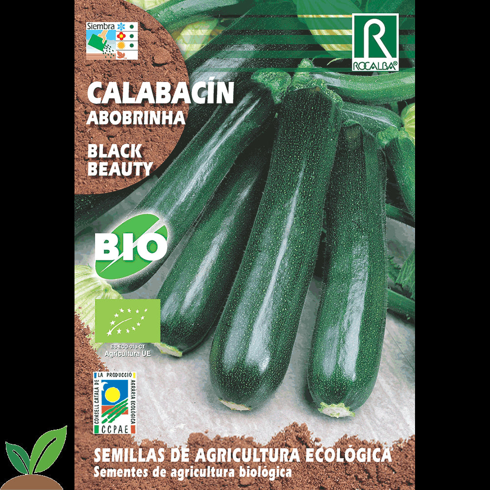 CALABACIN BLACK BEAUTY ECO