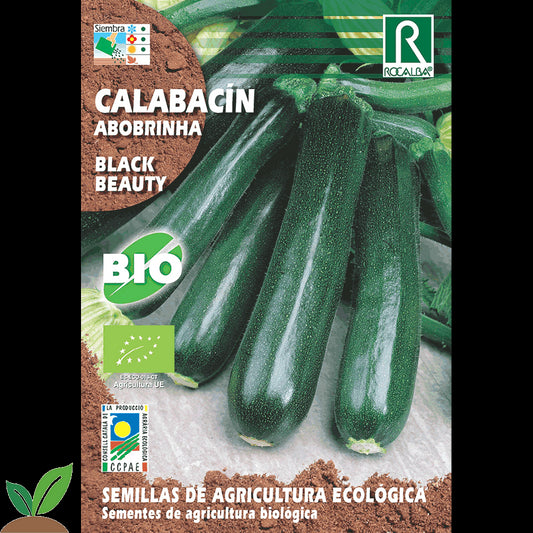 CALABACIN BLACK BEAUTY ECO