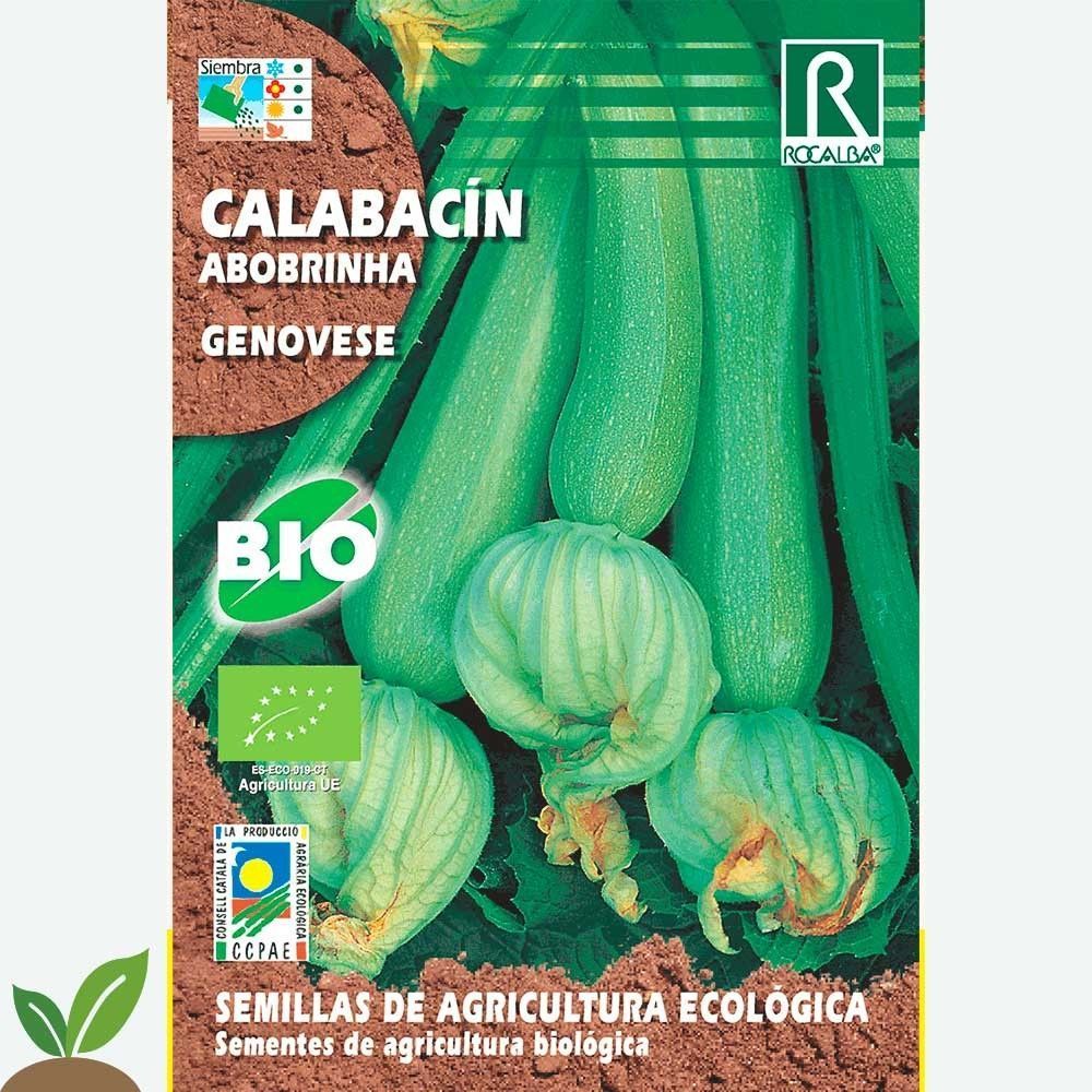 CALABACÍN GENOVESE ECO - SOBRE DE SEMILLAS 5g