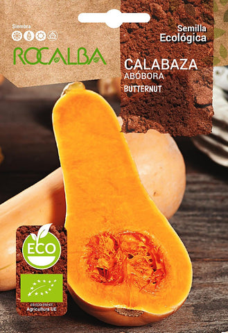 CALABAZA BUTTERNUT ECO