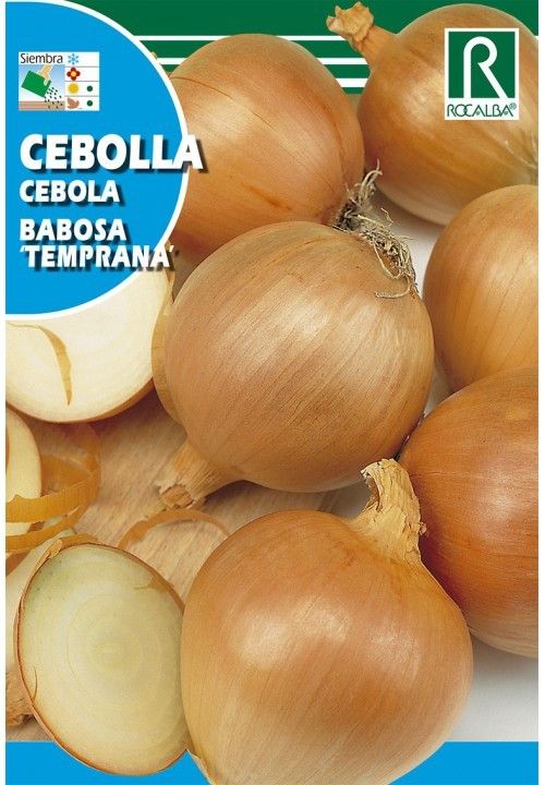 CEBOLLA BABOSA TEMPRANA 100 GR. - 25000 SEMILLAS
