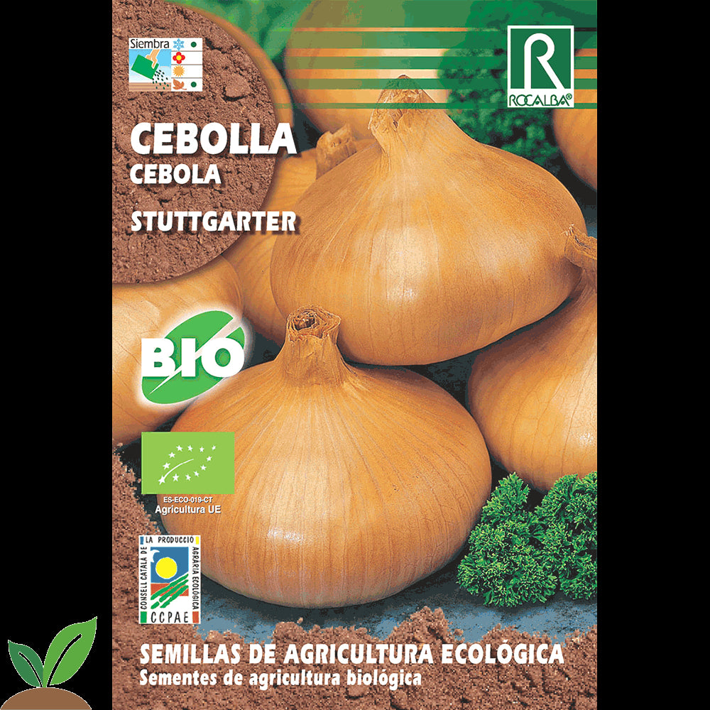CEBOLLA STUTTGARTER ECO