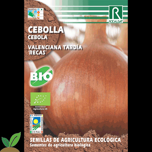 CEBOLLA VALENCIANA TARDIA "RECAS" ECO
