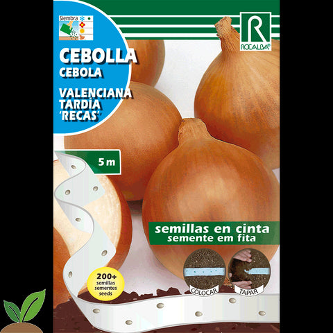 CEBOLLA VALENCIANA TARDIA