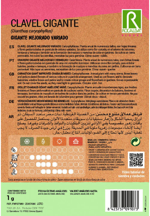 CLAVEL GIGANTE MEJORADO VARIADO - SOBRE DE SEMILLAS 1G