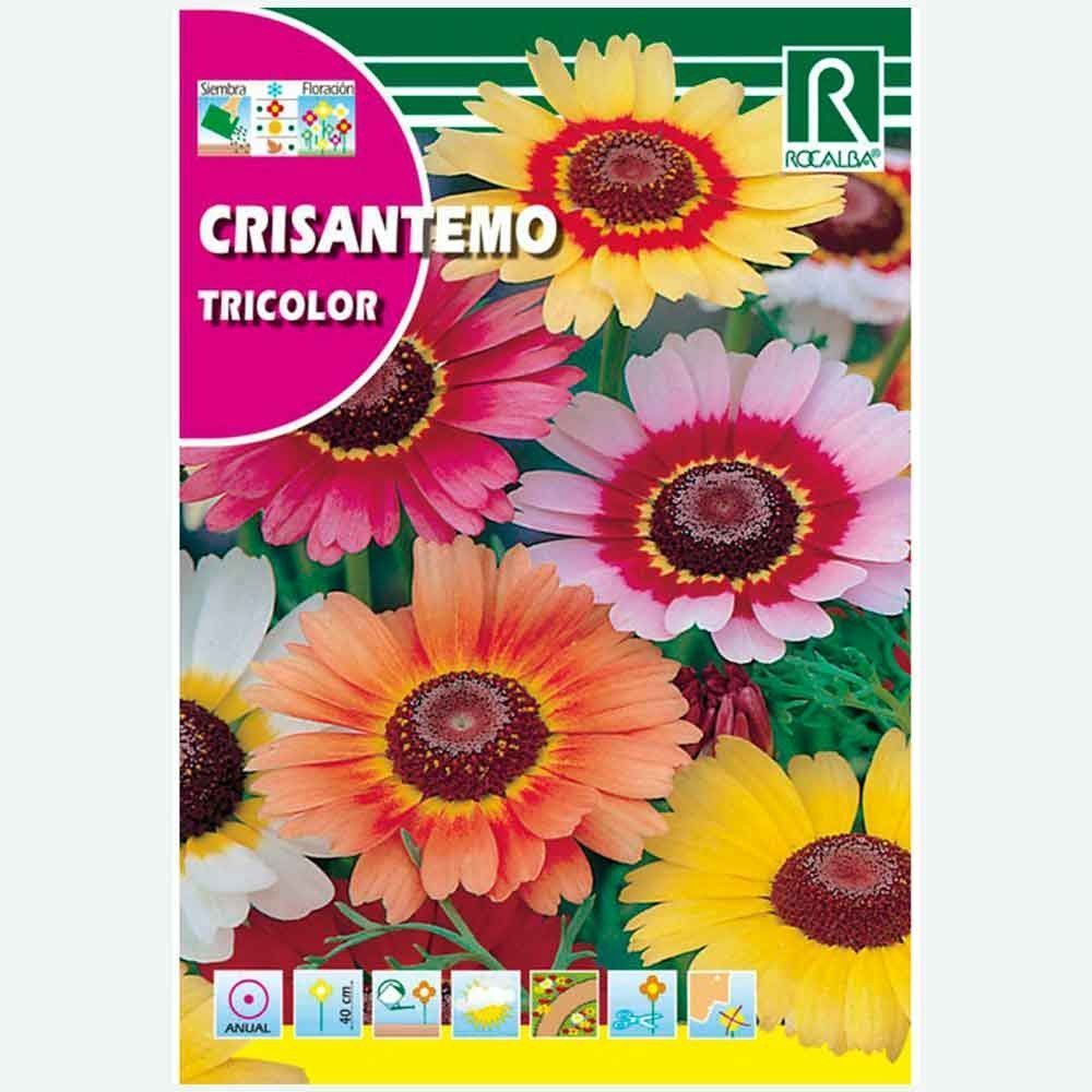 CRISANTEMO TRICOLOR VARIADO - SOBRE DE SEMILLAS 5G