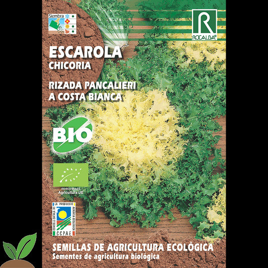 ESCAROLA RIZADA  ECO - ROCALBA