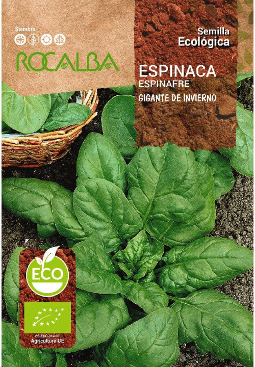 ESPINACA GIGANTE DE INVIERNO ECO