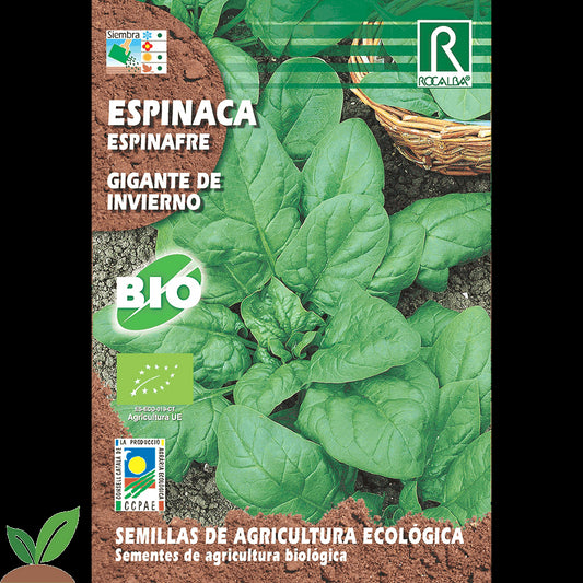 ESPINACA MATADOR ECO
