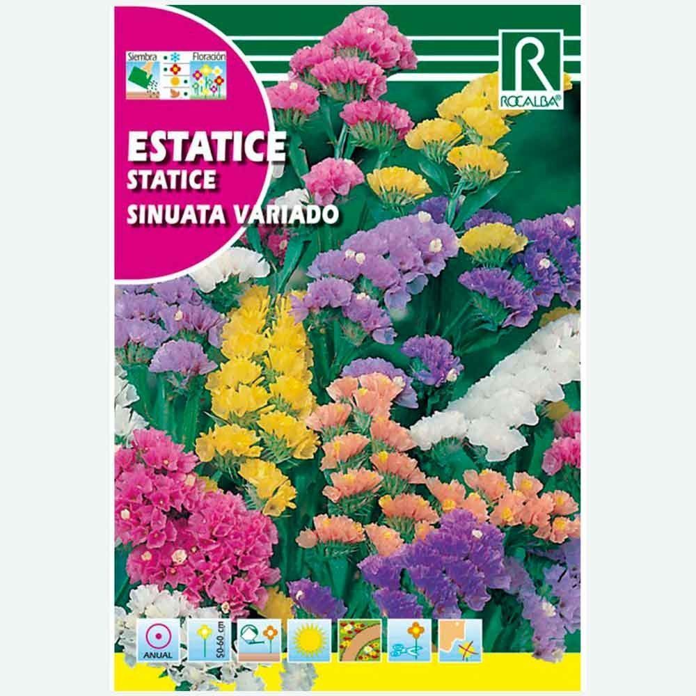 ESTATICE SINUATA VARIADA - SOBRE DE SEMILLAS 0,5G