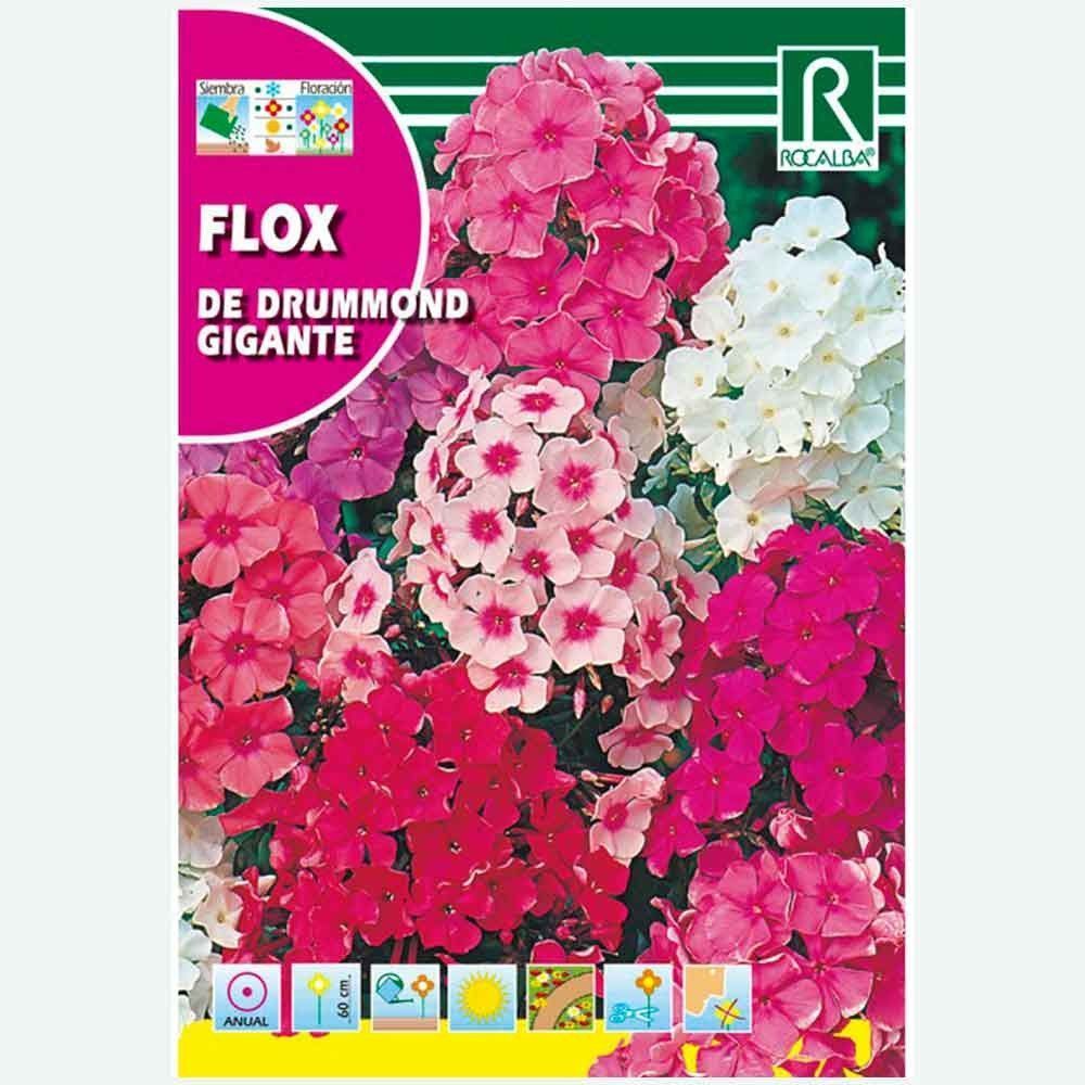 FLOX DE DRUMMOND GIGANTE VARIADO - SOBRE DE SEMILLAS 2G