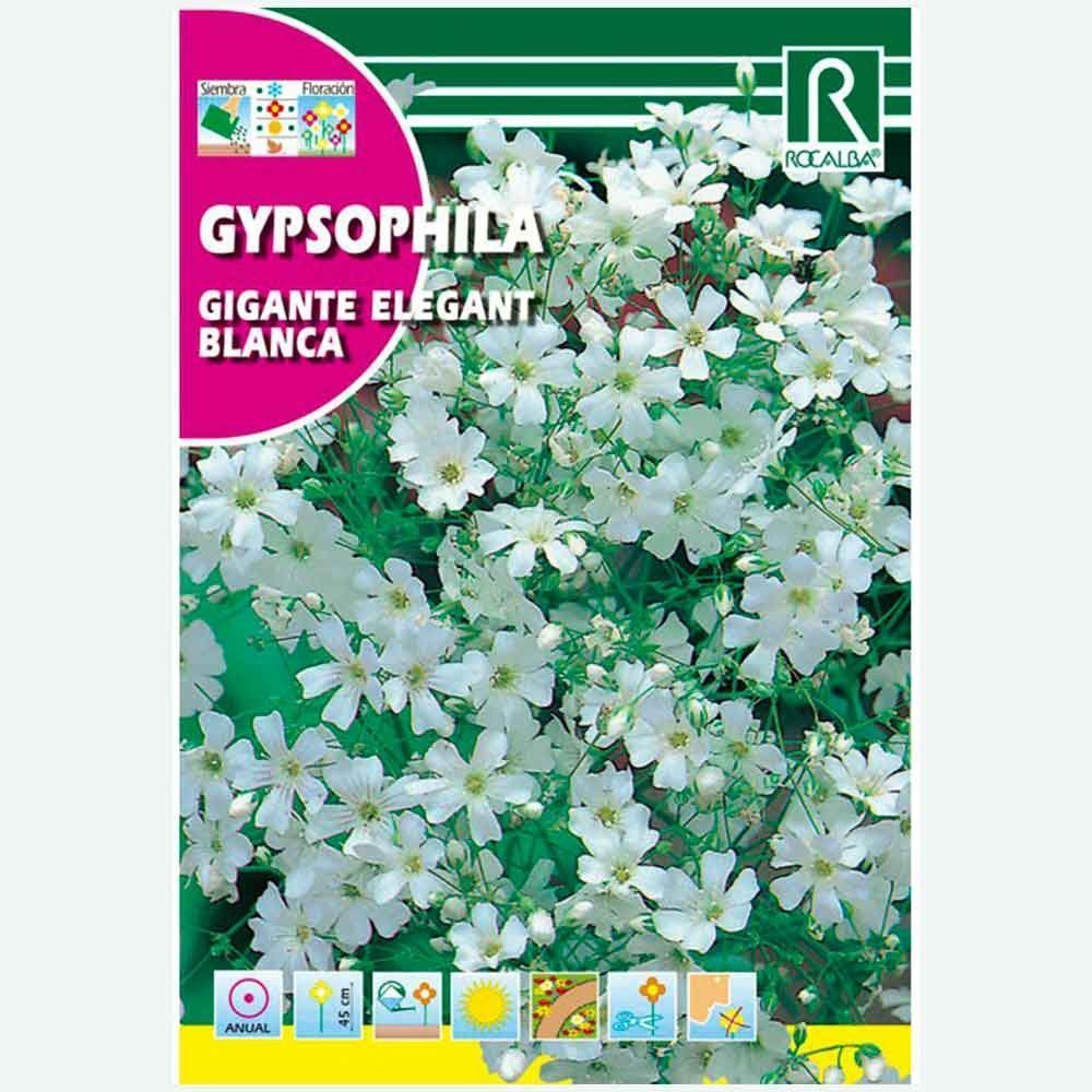 GIPSOFILA GIGANTE ELEGANT BLANCA - SOBRE DE SEMILLAS 10G
