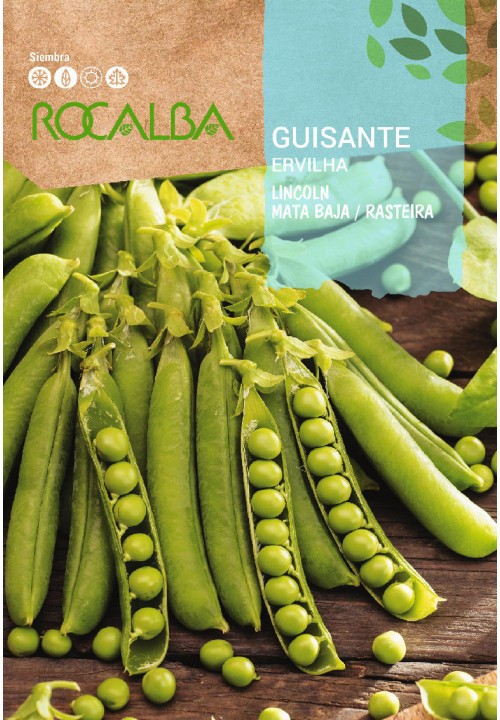 GUISANTE LINCOLN 250 GR. - MATA BAJA