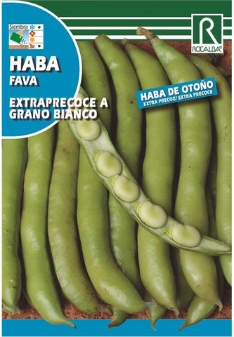 HABA DE OTOÑO EXTRAPRECOZ GRANO BIANCO 1KG - ROCALBA