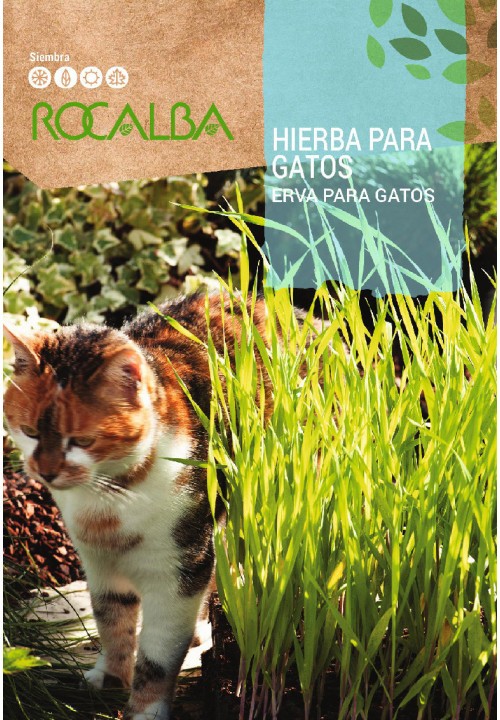 HIERBA PARA GATOS 10 GR.