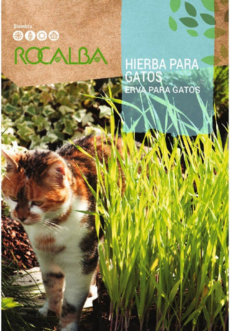 HIERBA PARA GATOS 10 GR.