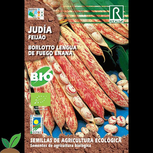 JUDIA BORLOTTO LENGUA DE FUEGO ECO