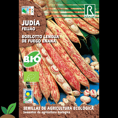 JUDIA BORLOTTO LENGUA DE FUEGO ECO