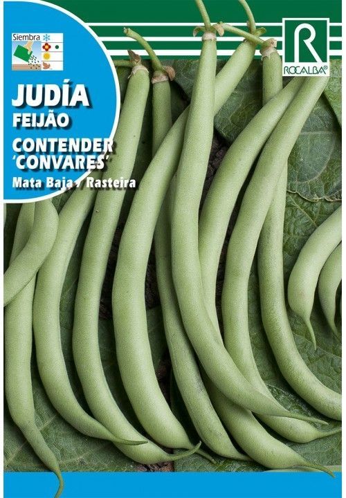 JUDIA CONTENDER CONVARES 250 GR.- MATA BAJA