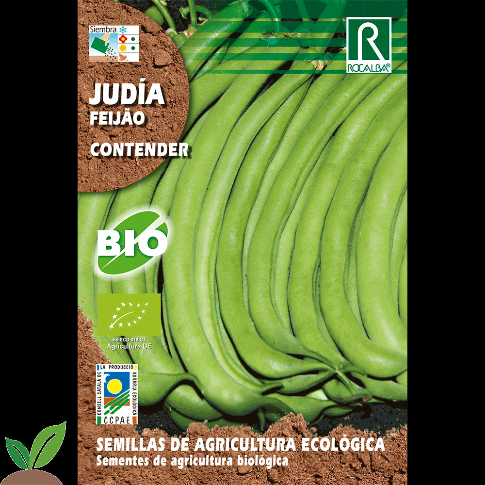 JUDIA CONTENDER ECO