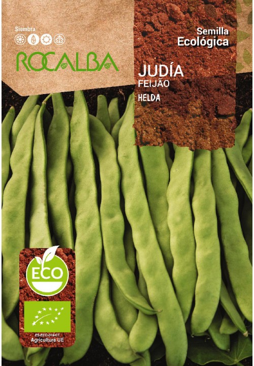 JUDIA HELDA ECO