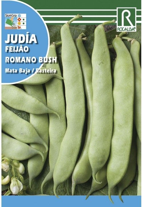 JUDIA ROMANO BUSH MATA BAJA 250 GR. - ROCALBA