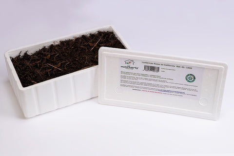 KIT DE 1000 UD. LOMBRICES ROJAS CALIFORNIANAS CERTIFICADA