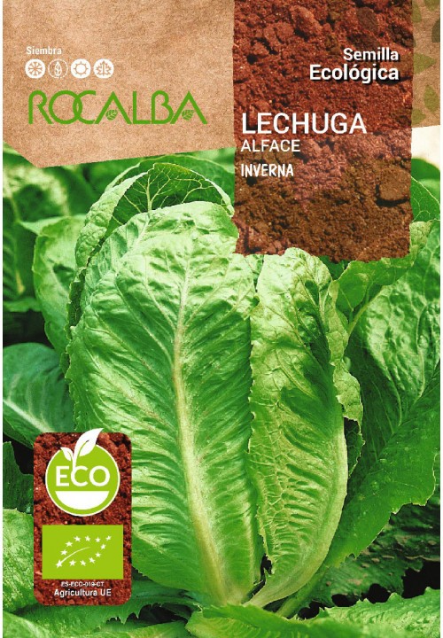 LECHUGA INVERNA ECO