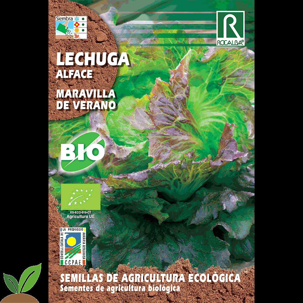 LECHUGA MARAVILLA DE VERANO ECO