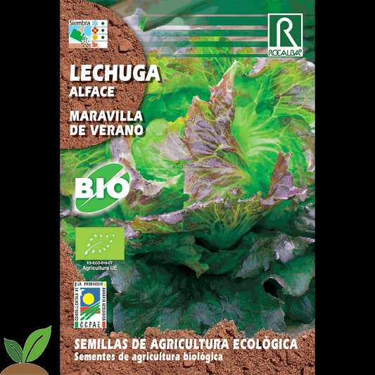 LECHUGA MARAVILLA DE VERANO ECO