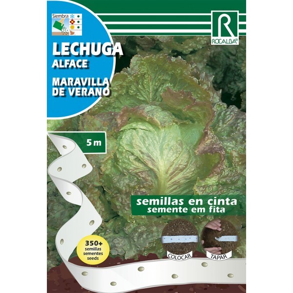 LECHUGA MARAVILLA DE VERANO
